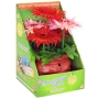 Танцующие красные цветы Анимированная игрушка Gemmy Industries Corporation 2009 г ; Упаковка: коробка инфо 1483a.