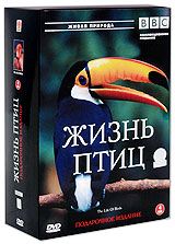 BBC: Жизнь птиц Подарочное издание (4 DVD) Серия: Живая природа инфо 3412b.