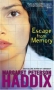 Escape from Memory ISBN 0689854218 инфо 2303l.